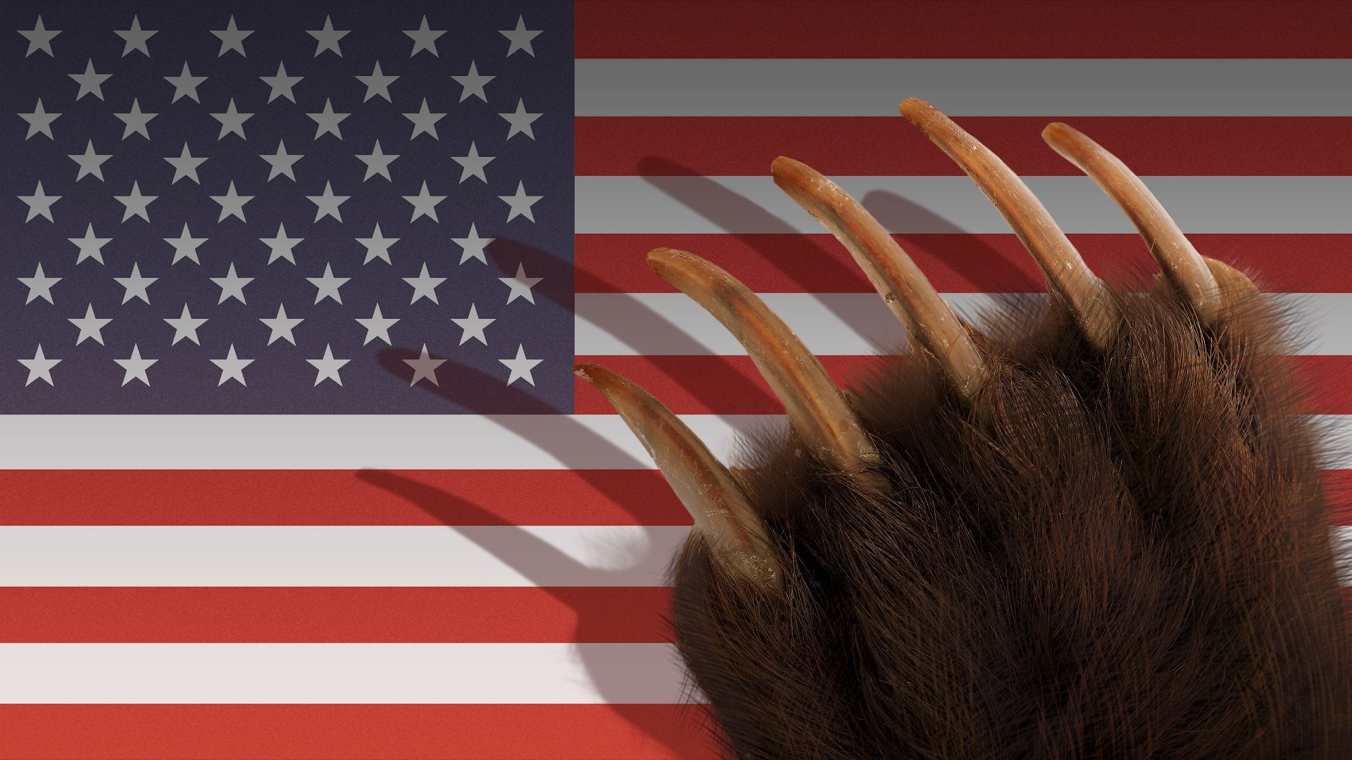 Illustration of a bear claw casting a shadow over the US flag.