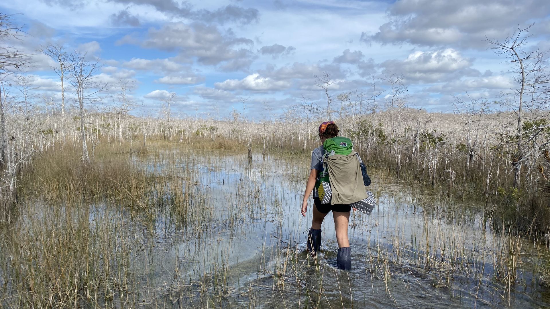 A young woman wades through the water at Big Cypress Preserve under a beautiful sky.