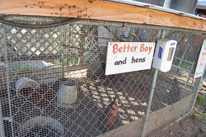 hens-renfrow-hardware