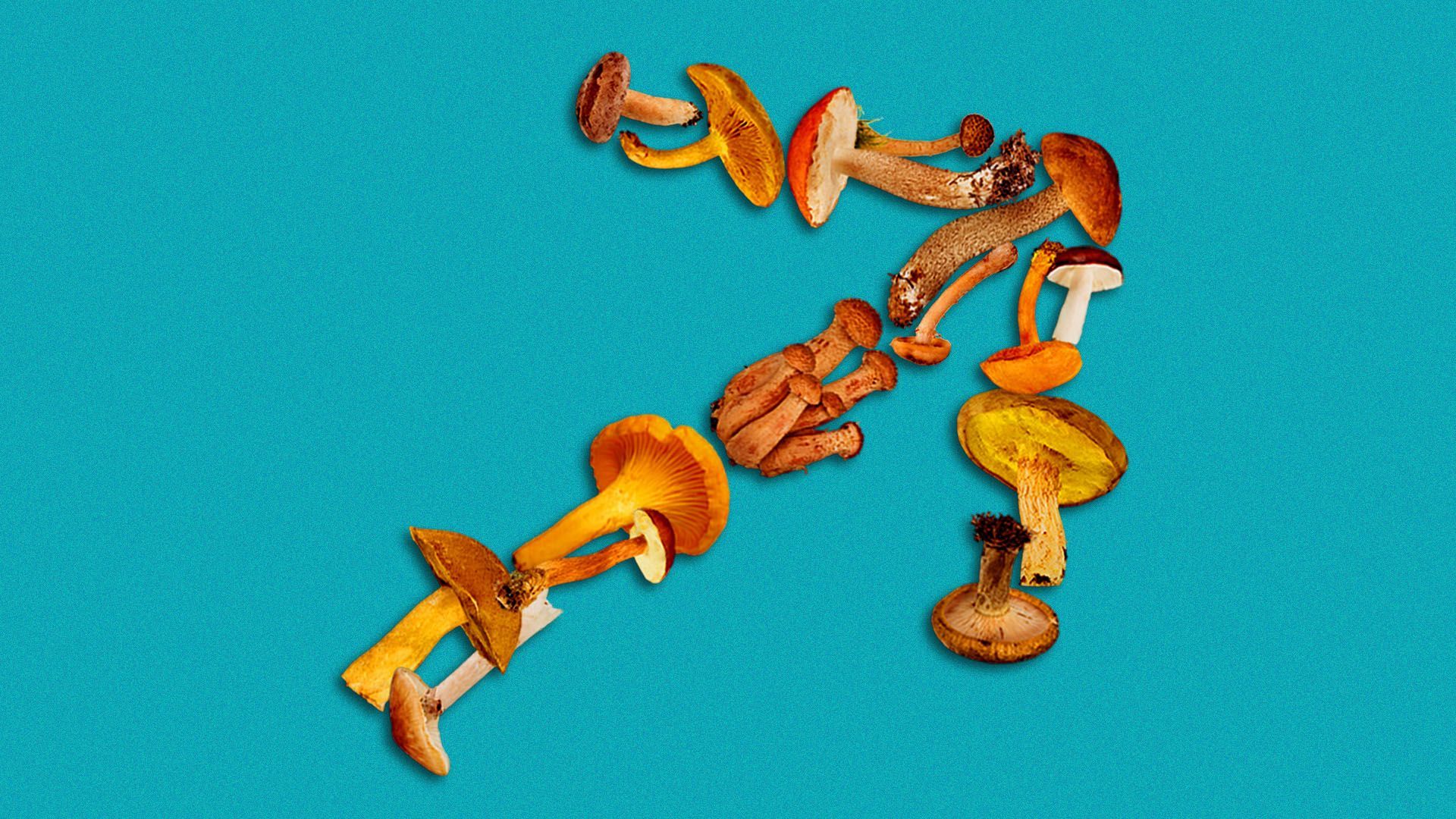 Illustration of an upward arrow made out of mushrooms. 
