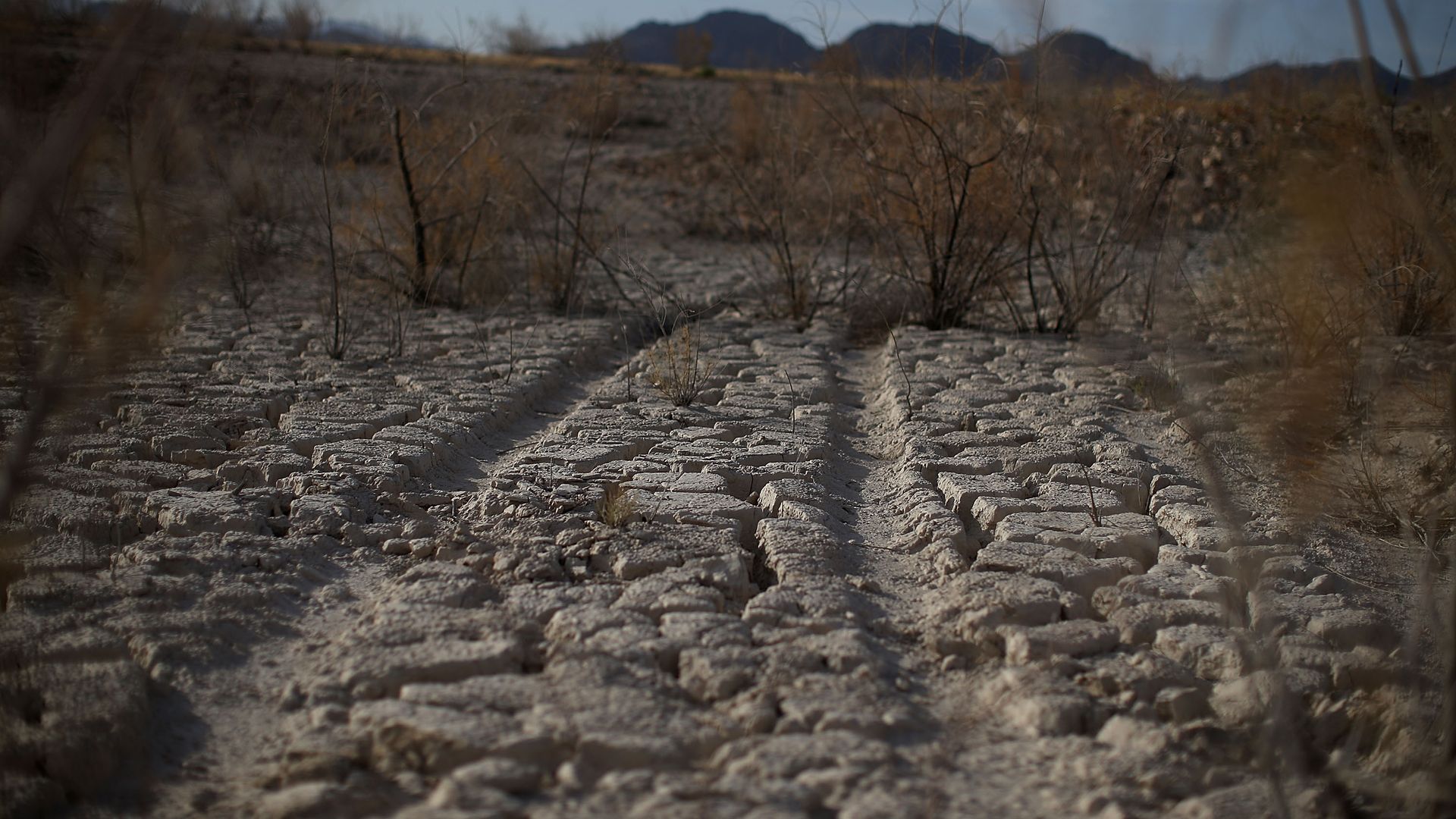 Photo of Lake Mead