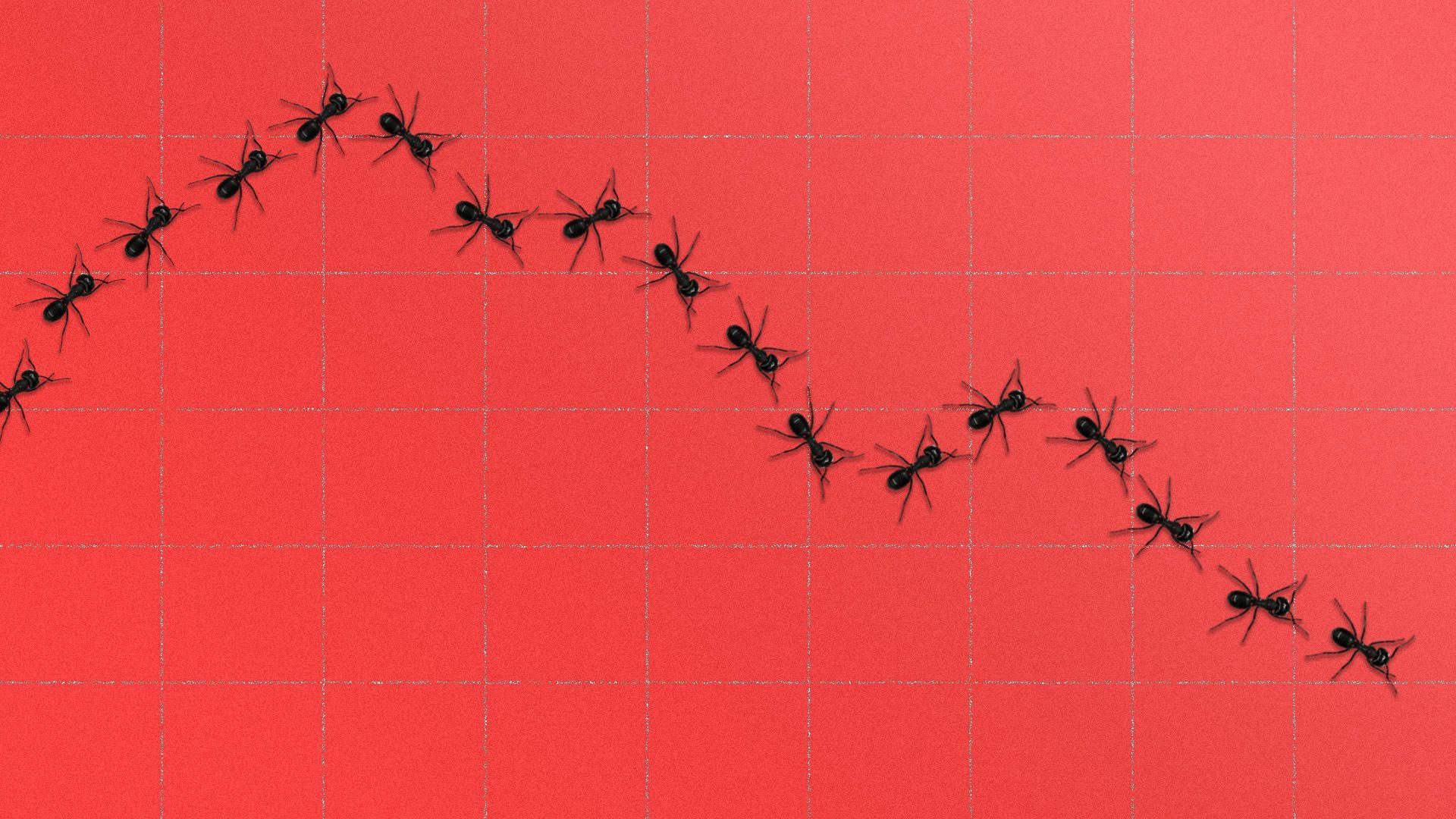 Illustration of a row of ants