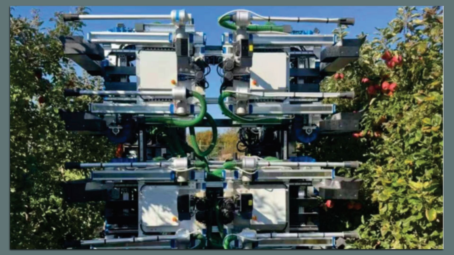 axios.com - Christine Clarridge - Washington's next apple pickers could be robots with vacuum-powered fingers
