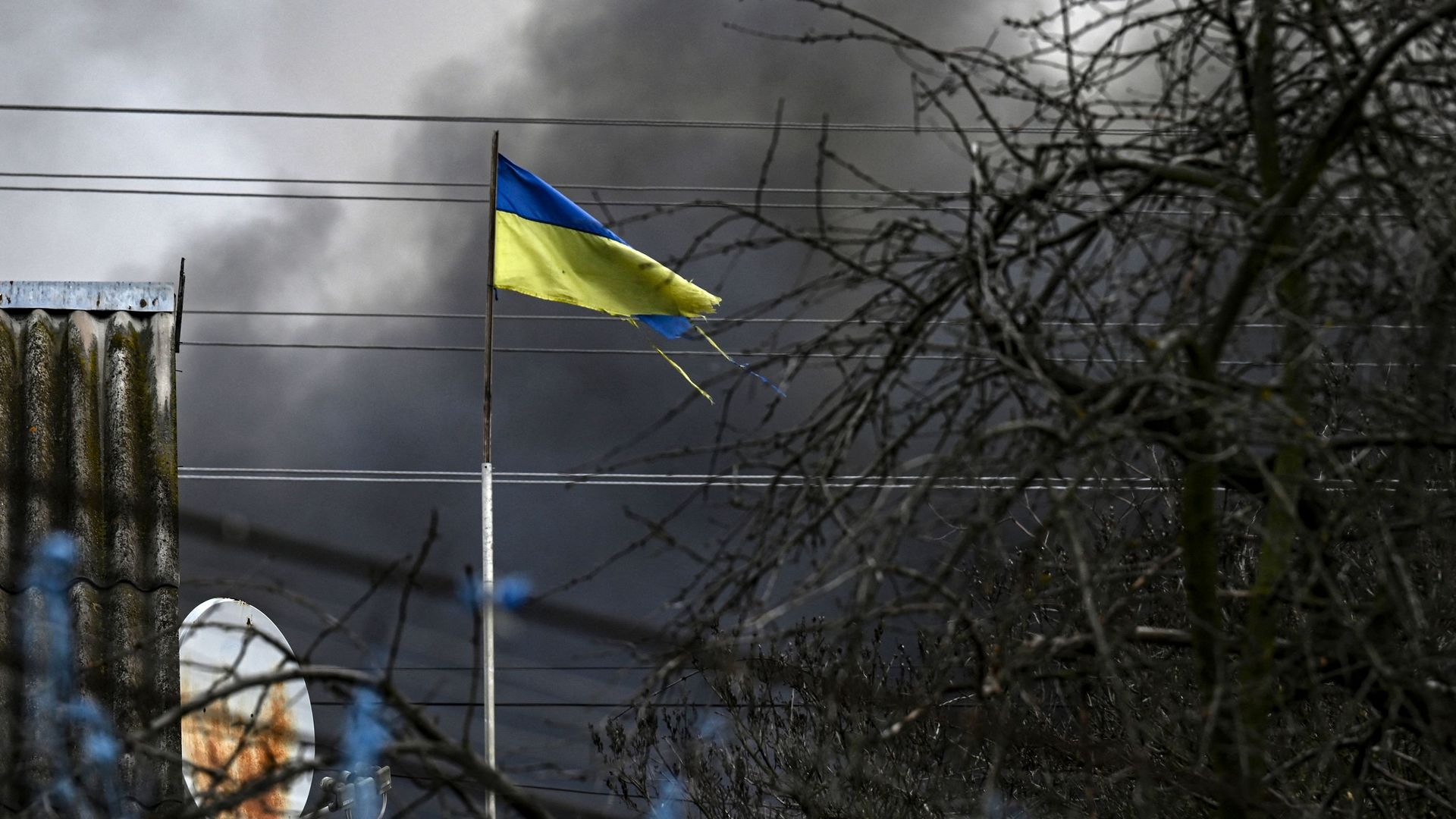 Ukrainian flag