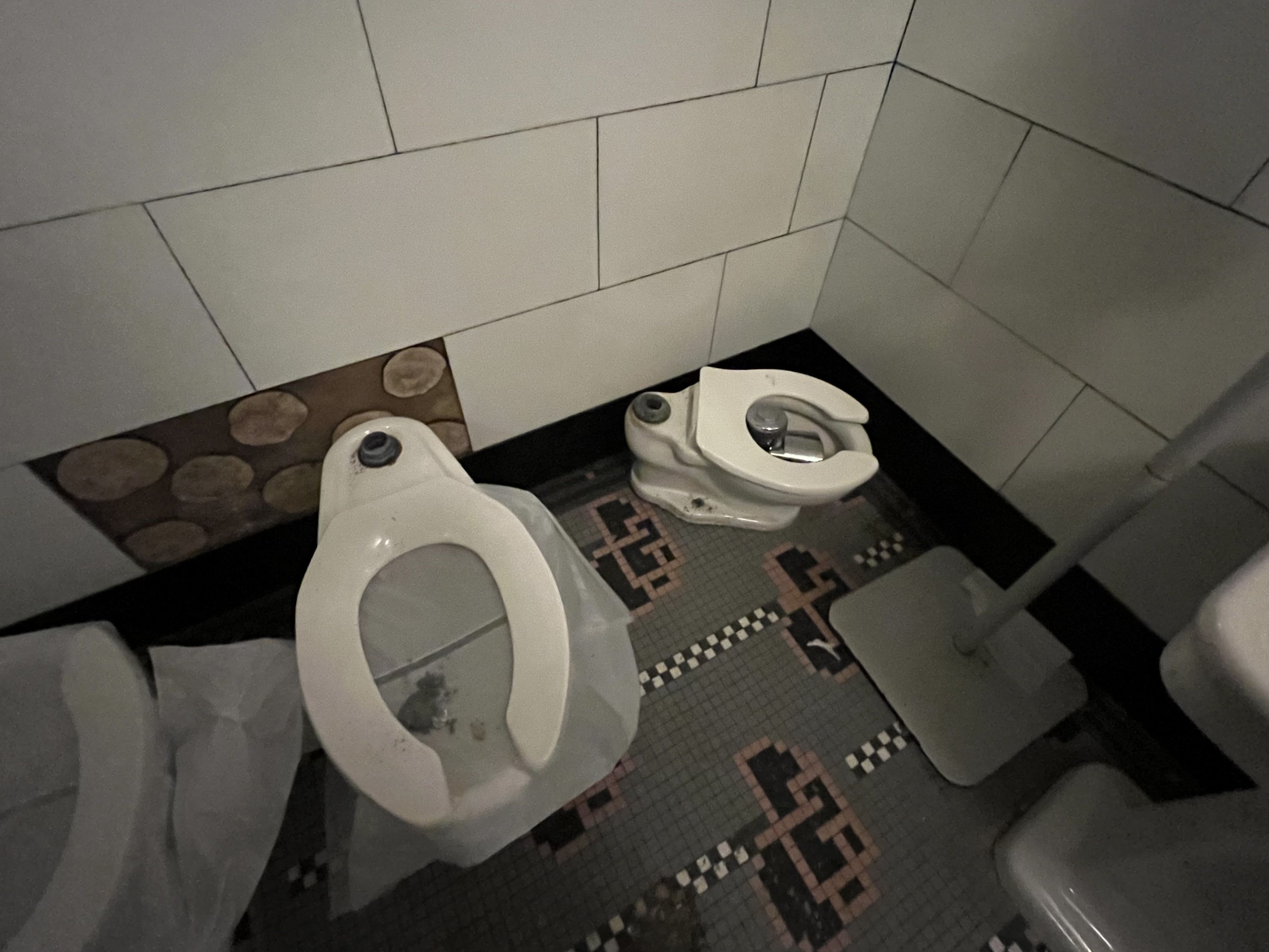 Dim public bathroom with two white toilets against gray tiled walls; one seat up, the other down. A brown circular-pattern rug sits on a mosaic floor in front of them.