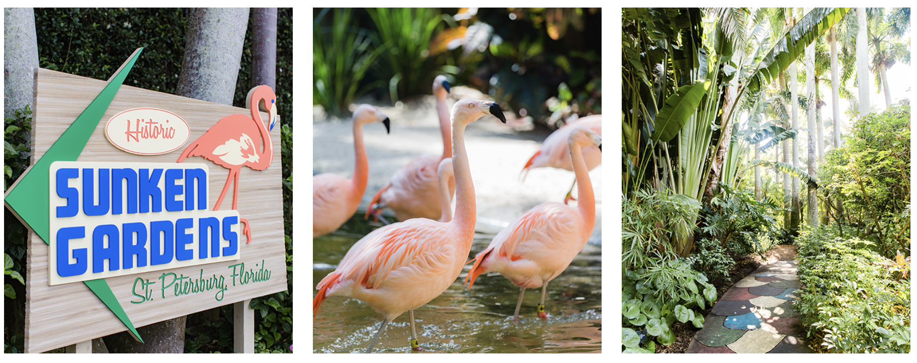 A Sunken Gardens sign, flamingos wading in water and a scene of a lush green trail