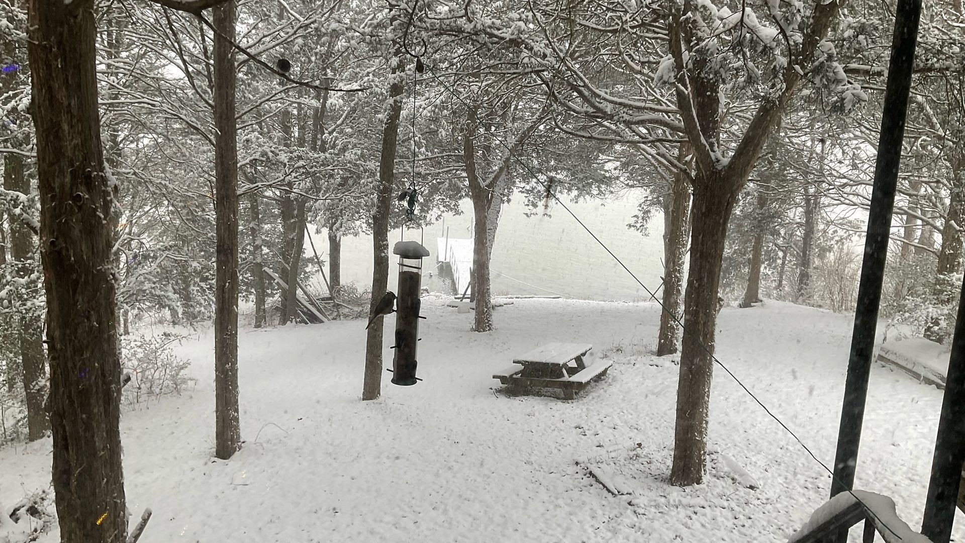 The snow at Old Hickory Lake