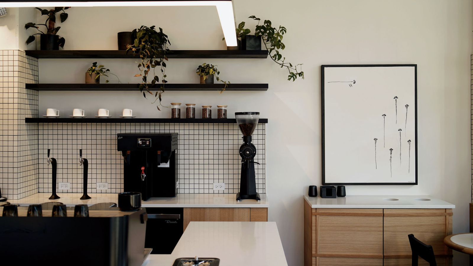 Elegy Coffee opens new shop in Nashville's Germantown Axios Nashville