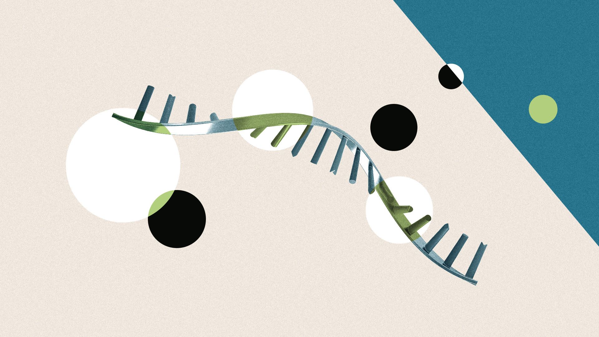 Illustration of a RNA strand with multiple circles and shapes