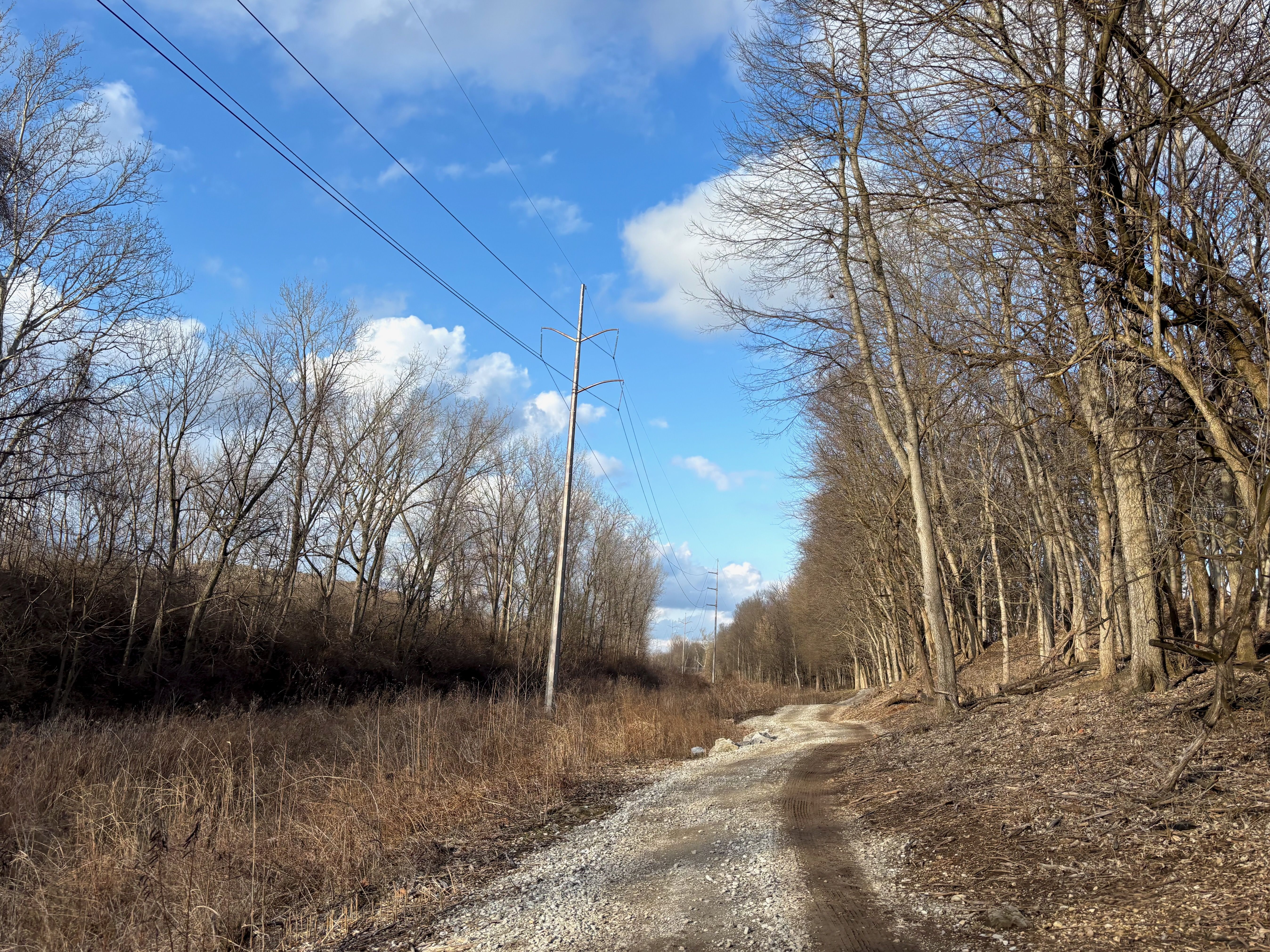 Gravel path winding through a leafless forest under a blue sky with clouds, power lines running alongside the path.