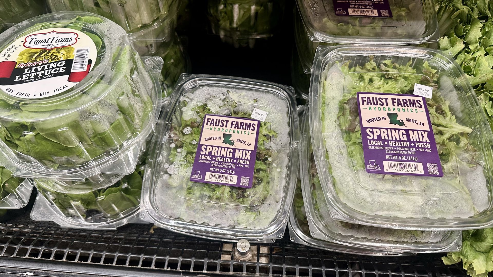 Close-up of clear plastic containers of Faust Farms hydroponic greens on a grocery shelf, with labels reading "Living Lettuce" and "Spring Mix" and fresh green leaves visible.