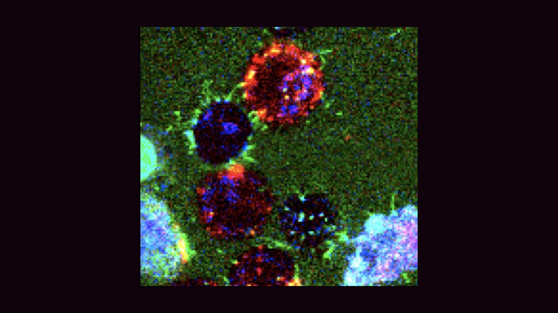 Leak-free piping, visible as light green lines surrounding fluorescent molecules.