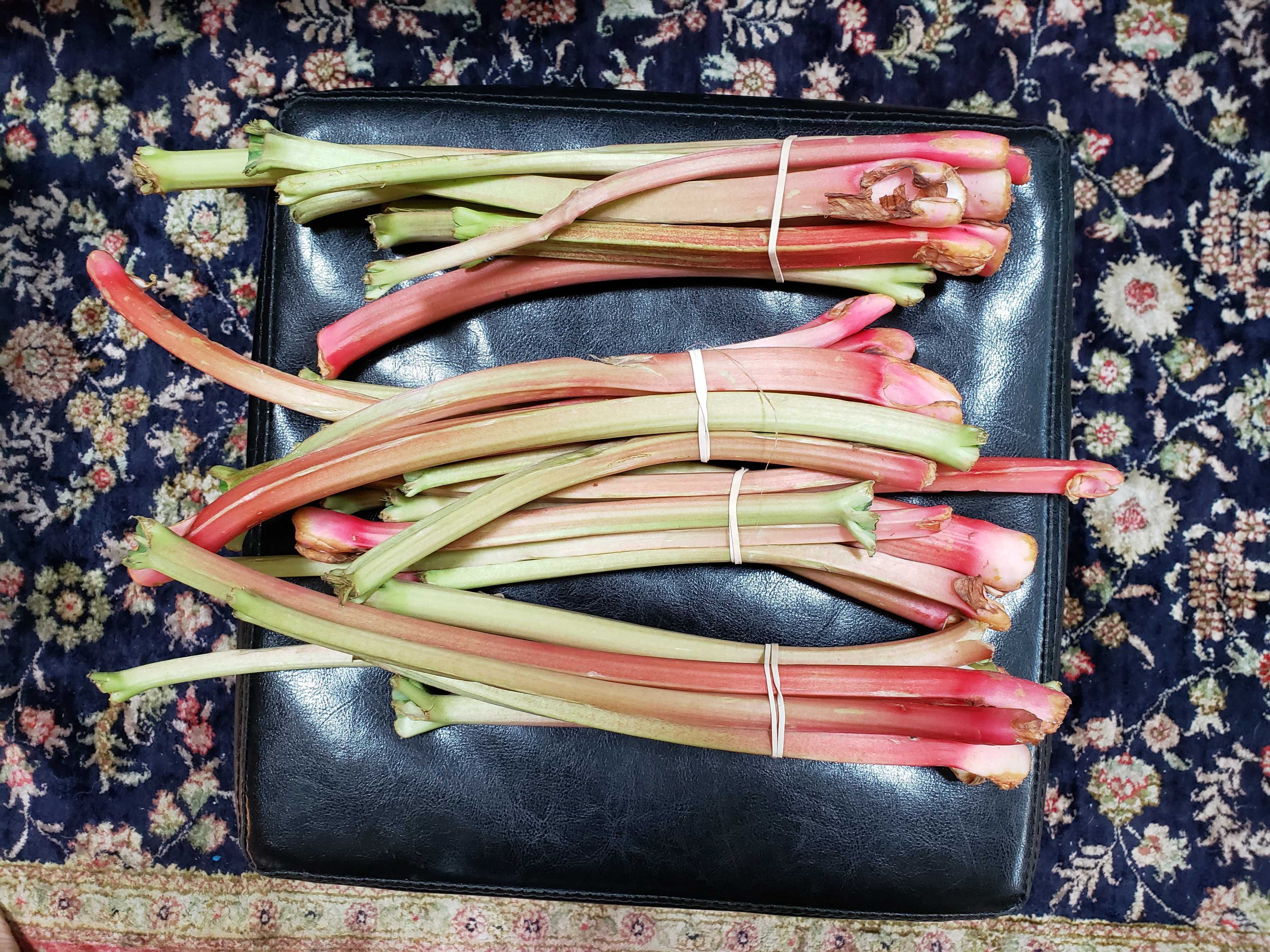 Photo of a bundle of rhurarb.