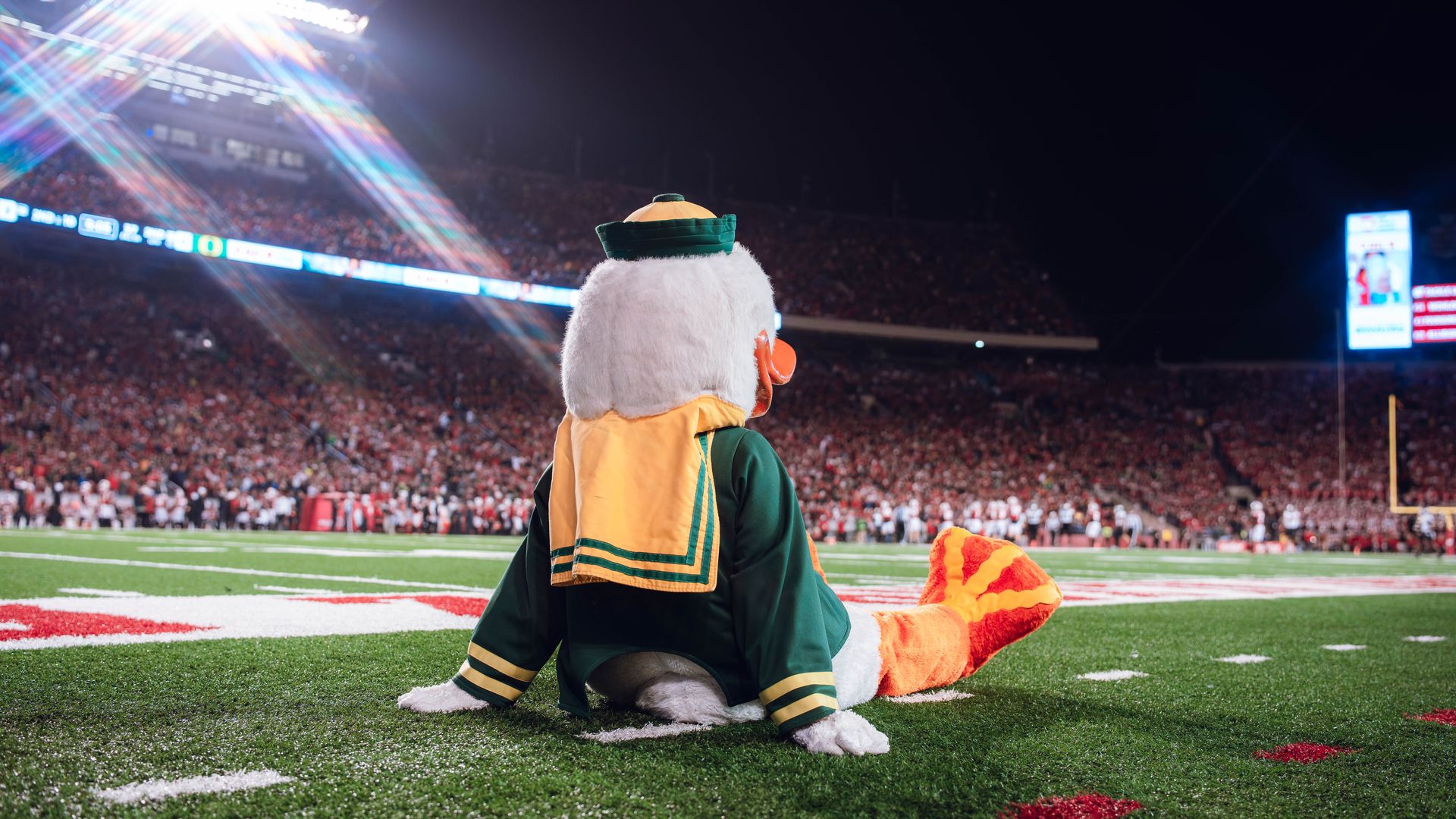 The Oregon Ducks mascot sits on the football field's edge at night, wearing green and yellow, facing a stadium full of spectators under bright stadium lights.