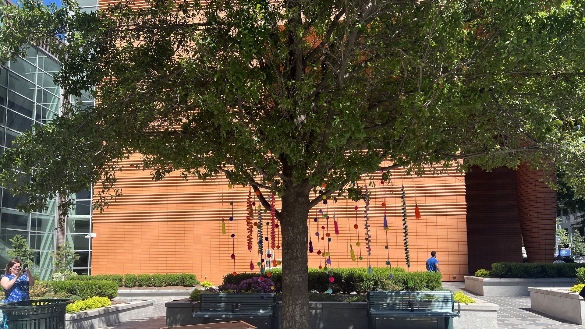 Tree with art hanging from it in Uptown