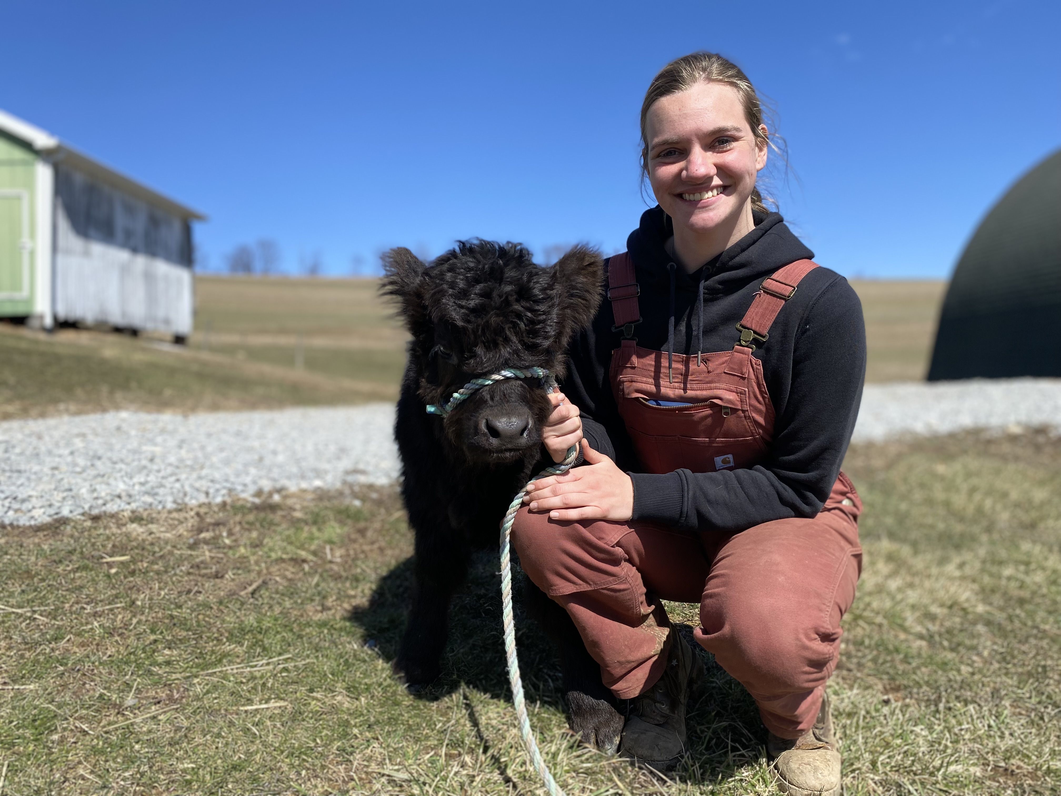 A woman holds a highland calf