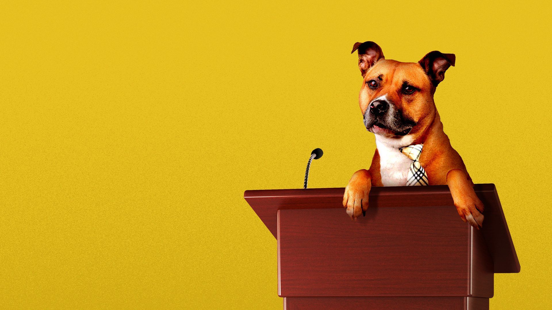 Illustration of a dog at a podium.