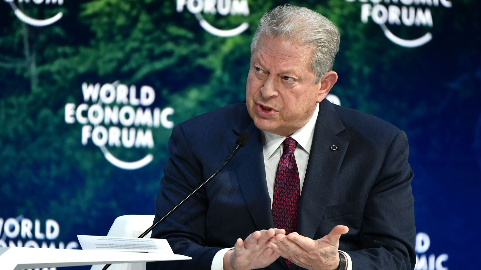 Former US Vice-President Al Gore, speaks at the Securing a Sustainable Future for the Amazon