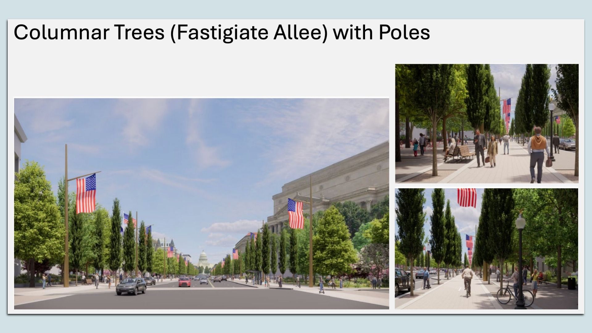 Three-panel collage of a wide city avenue with tall, narrow trees and American flag poles; a distant stately building, cars and pedestrians. Promenades show people and cyclists.