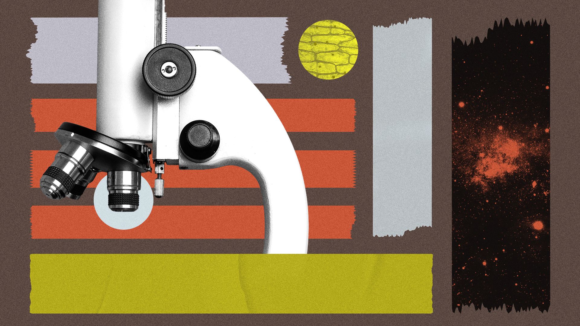 Illustration of a collage featuring a microscope surrounded by a grid made of ripped tape and circles masking plant cells and outer space.