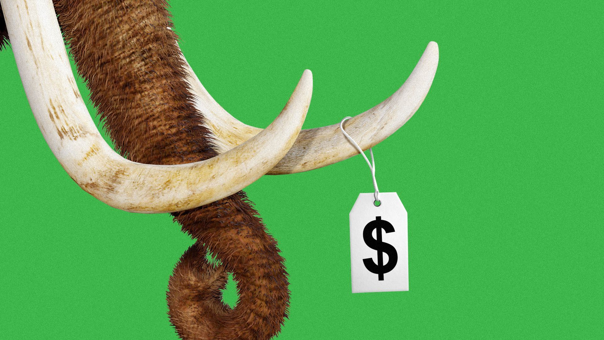 Illustration of a price tag on a wooly mammoth's tusk.