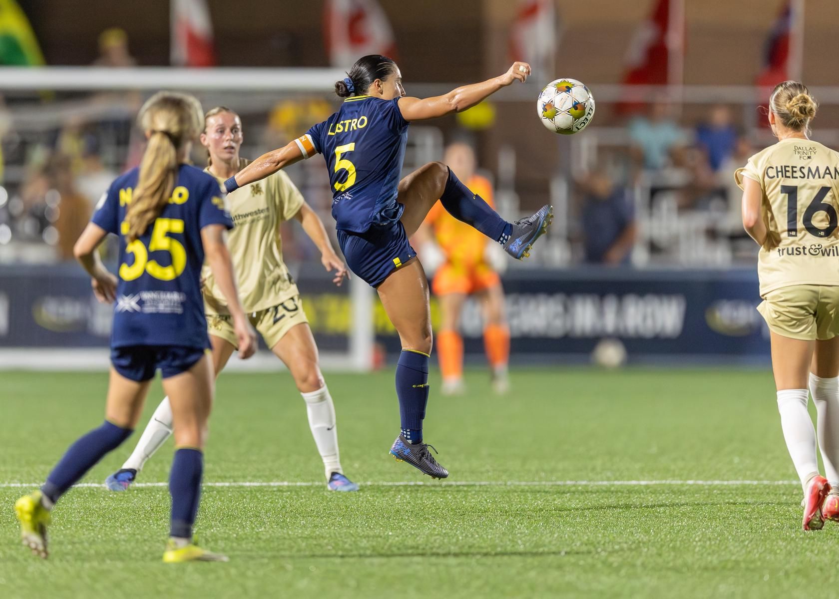 Tampa Bay Sun announce fall schedule
