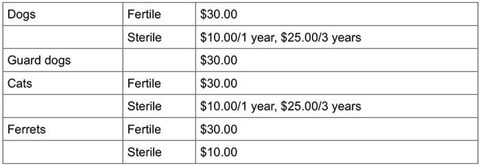 charlotte-pet-license-fees