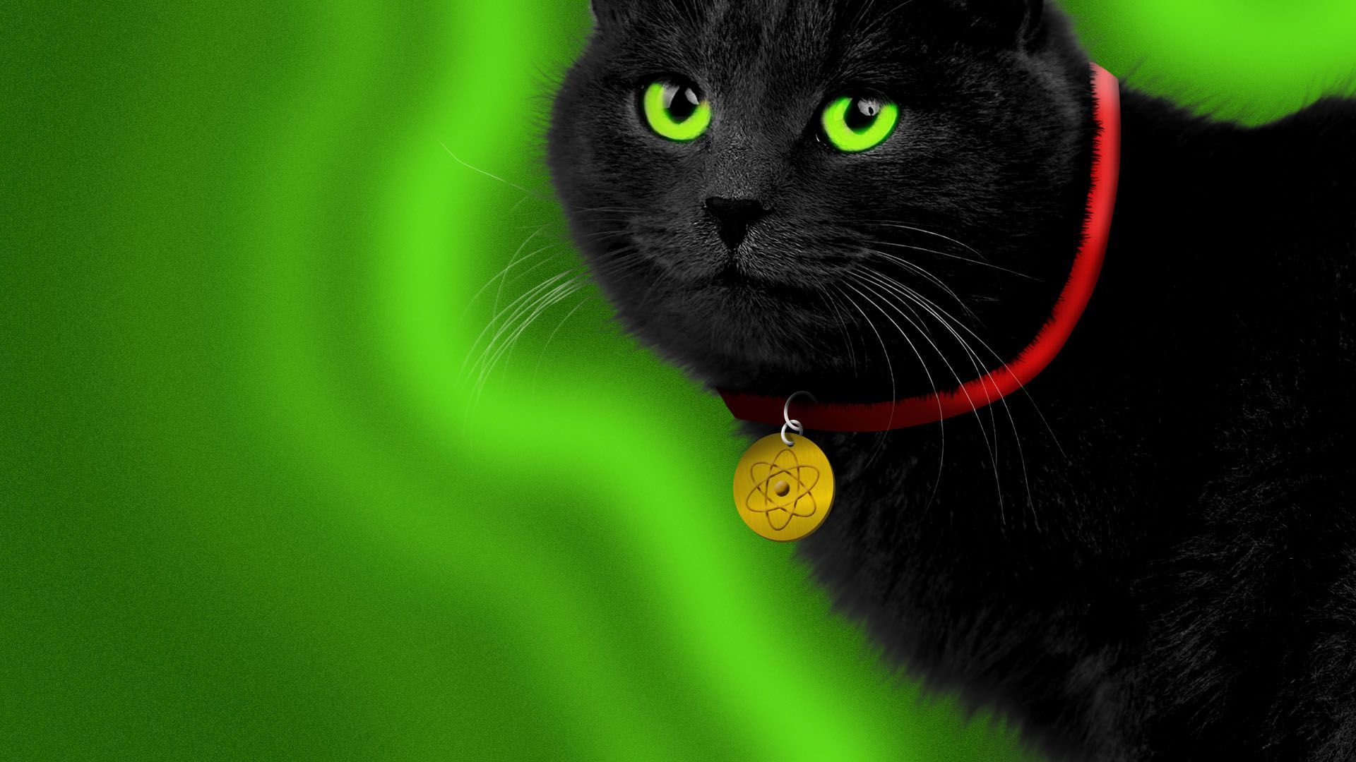 Illustration of a close-up of a black cat with bright green eyes, wearing a red collar with a gold pendant featuring an atomic symbol, against a glowing green background.