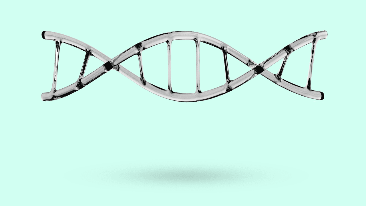 Illustration of gene bouncing up and down 