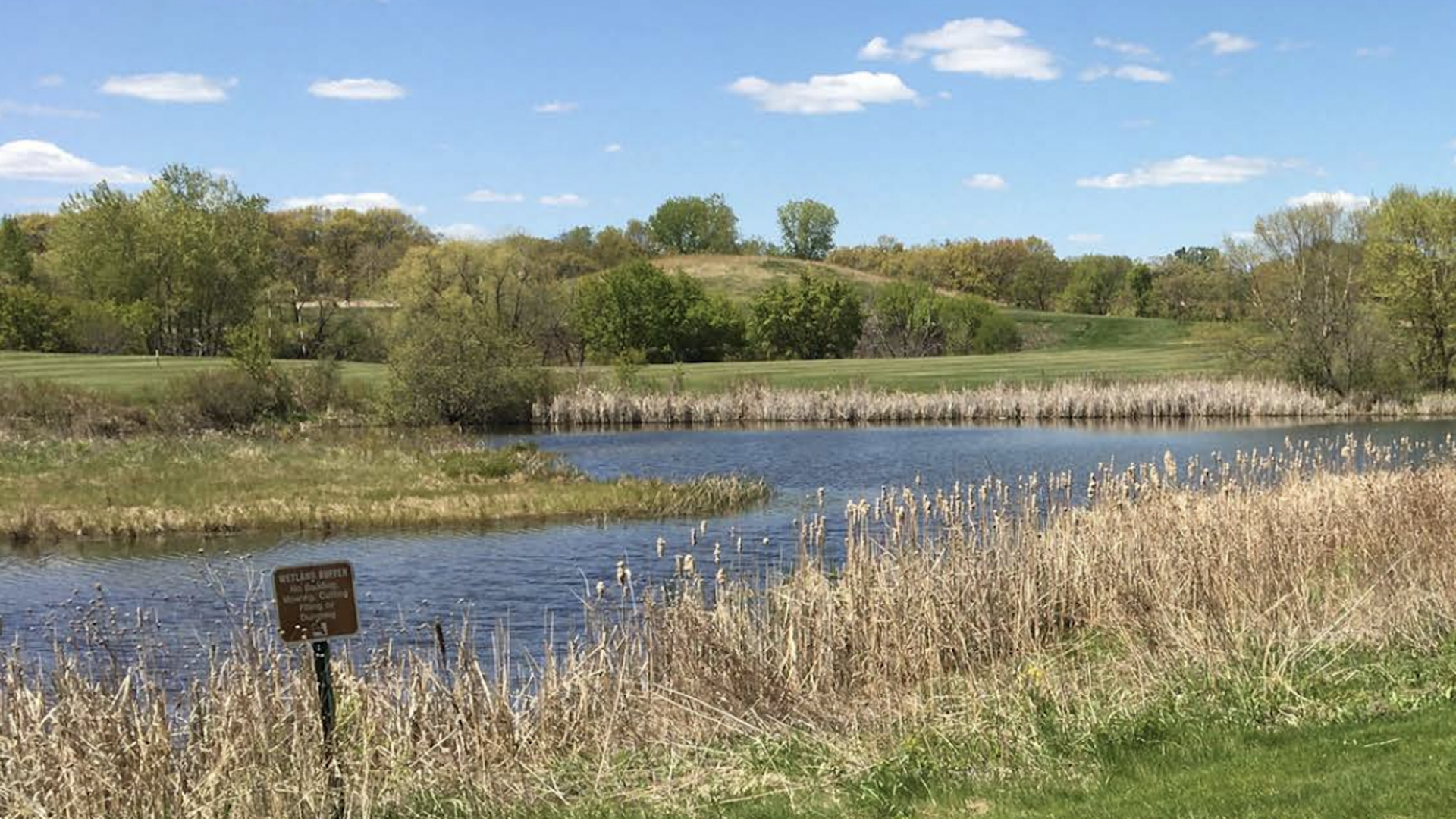 A pond at the golf course, surrounded by long brown grass