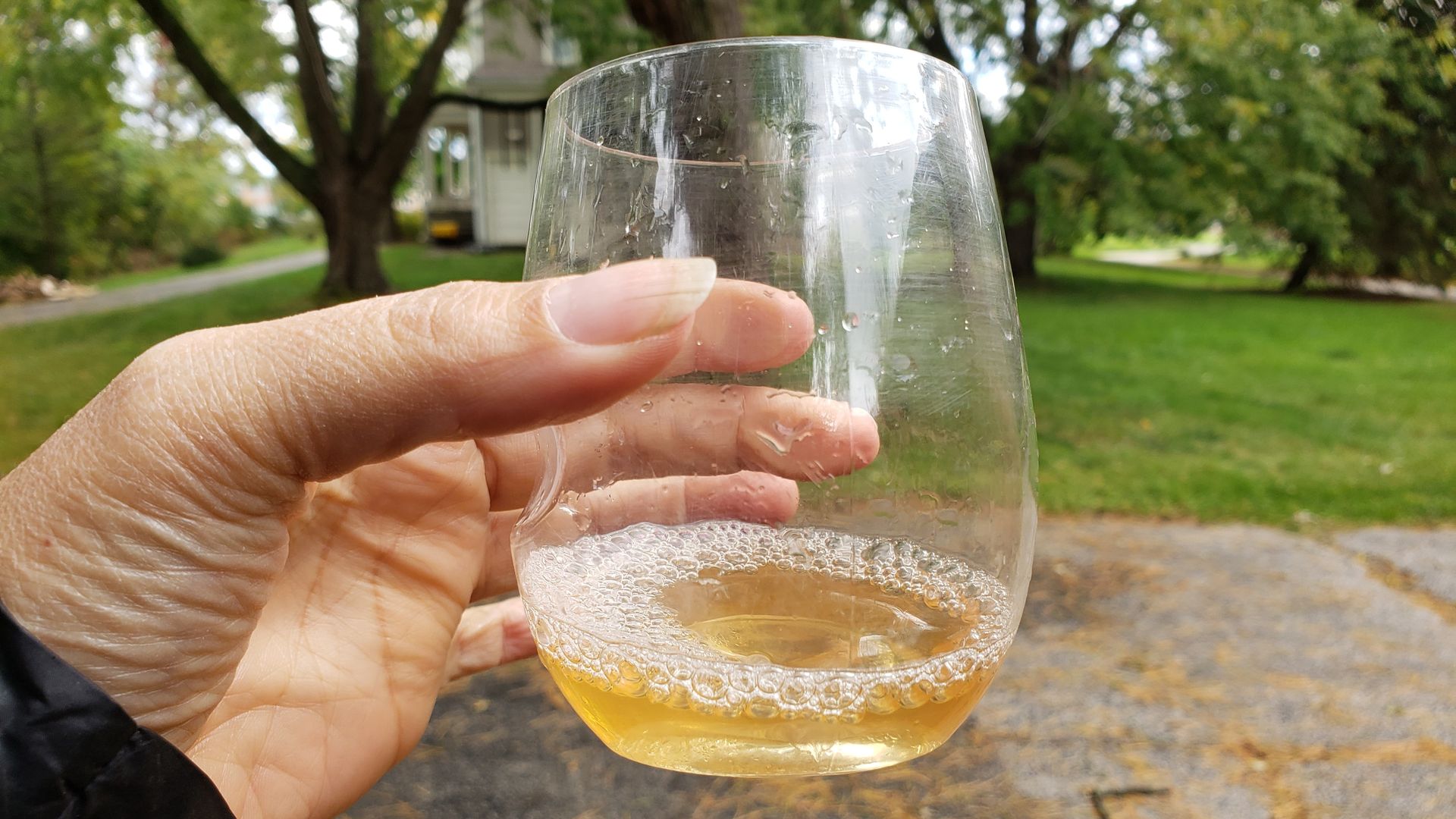 Photo of a glass of wine.