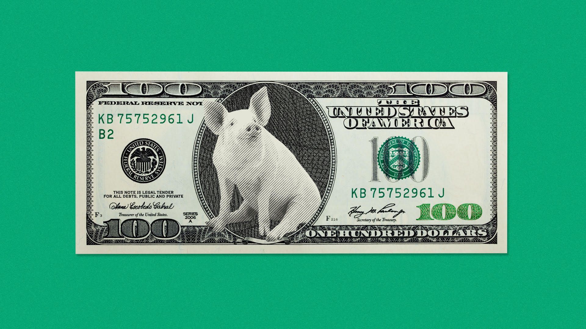 Illustration of $100 bill with a pig.