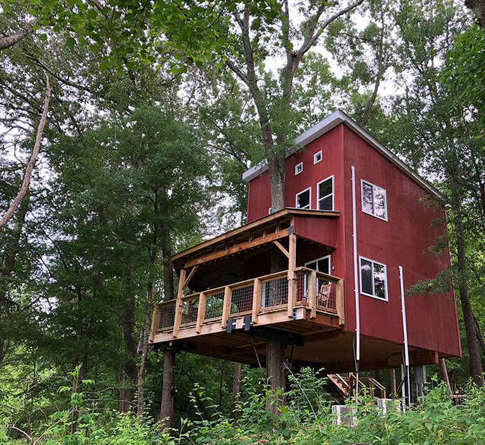 treehouse-vineyards-in-charlotte-nc