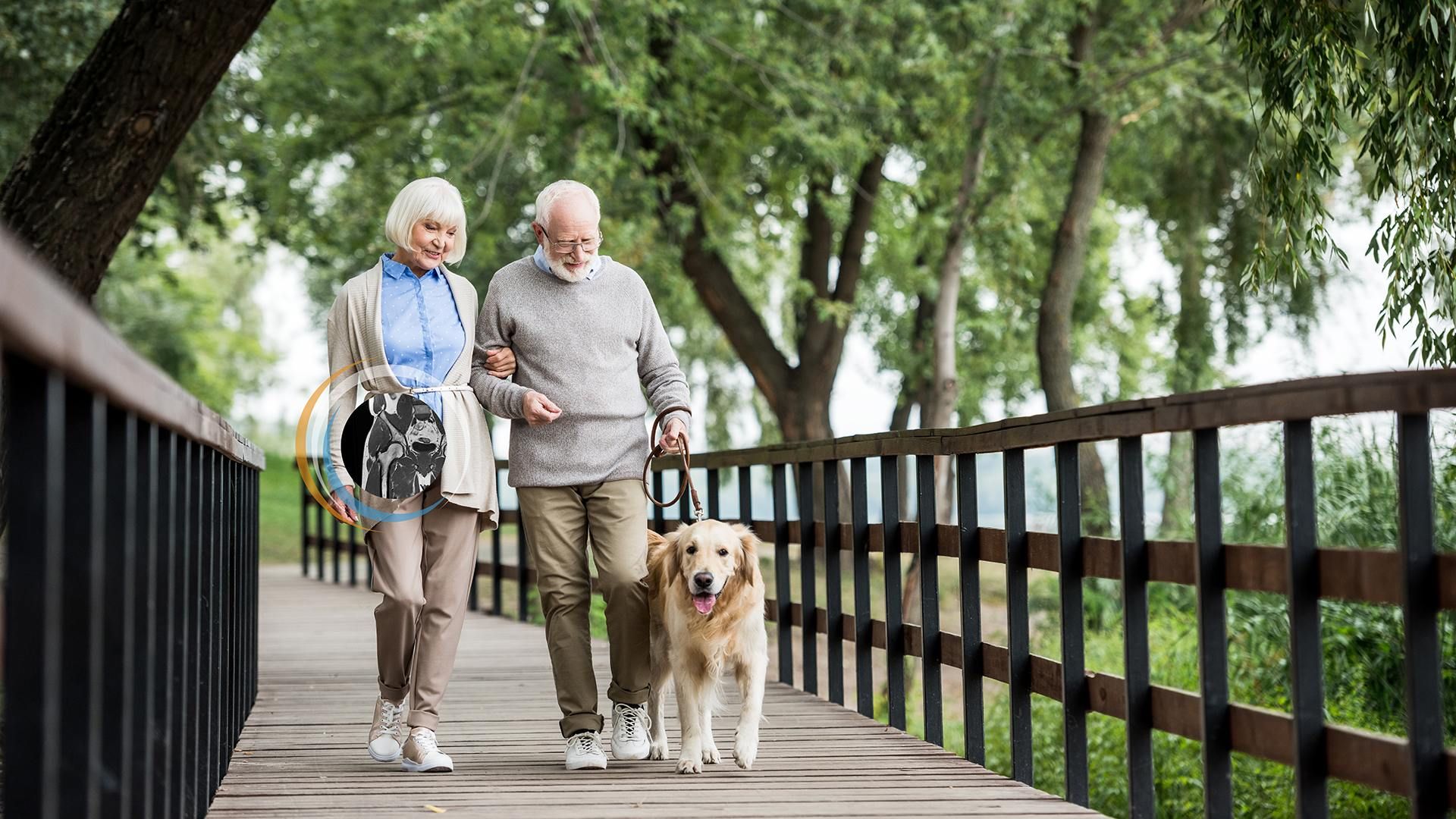 An elderly couple walks arm-in-arm with a leashed golden retriever along a wooden boardwalk in a lush green park.