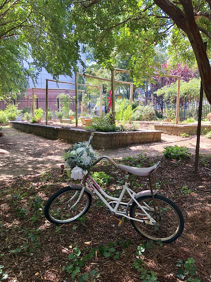 Rosie's Wine Garden garden scenes