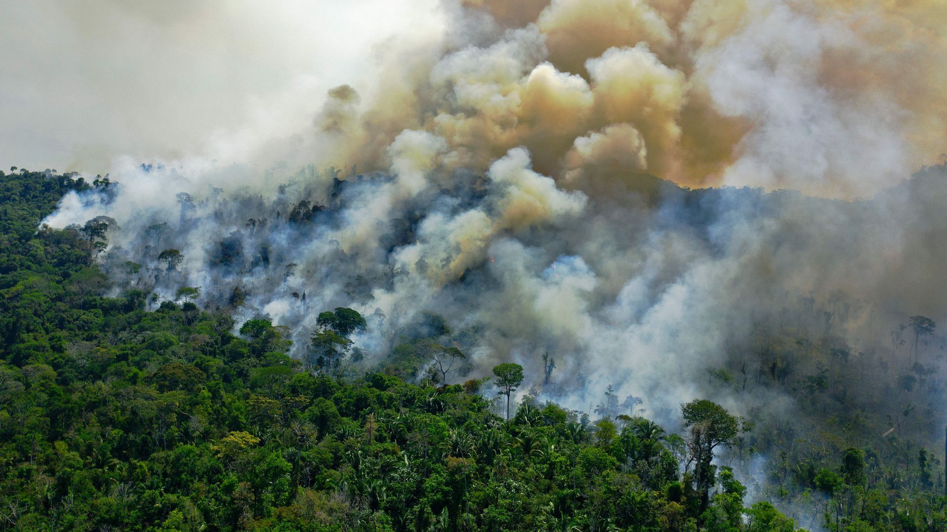 Part of the Amazon rainforest south of Novo Progresso burning in August 2020. 