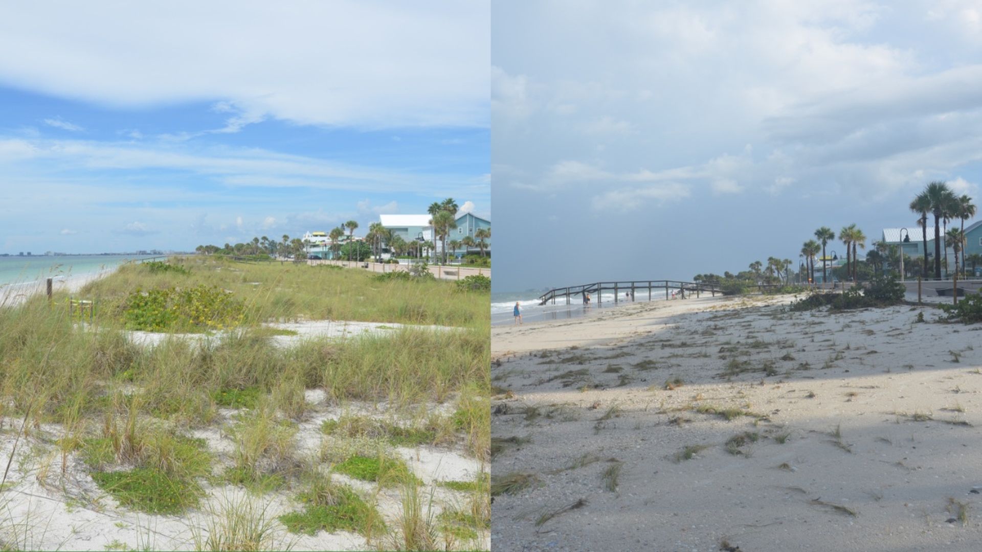 A composite of two images, one of a beach with a thriving patch of dunes, the other of the same beach just sand and no more dunes.