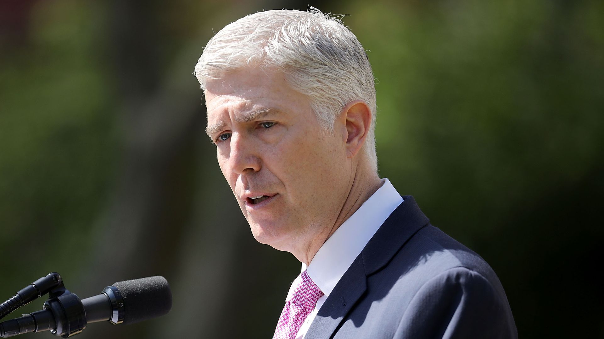 Gorusch. Photo: Chip Somodevilla/Getty Images