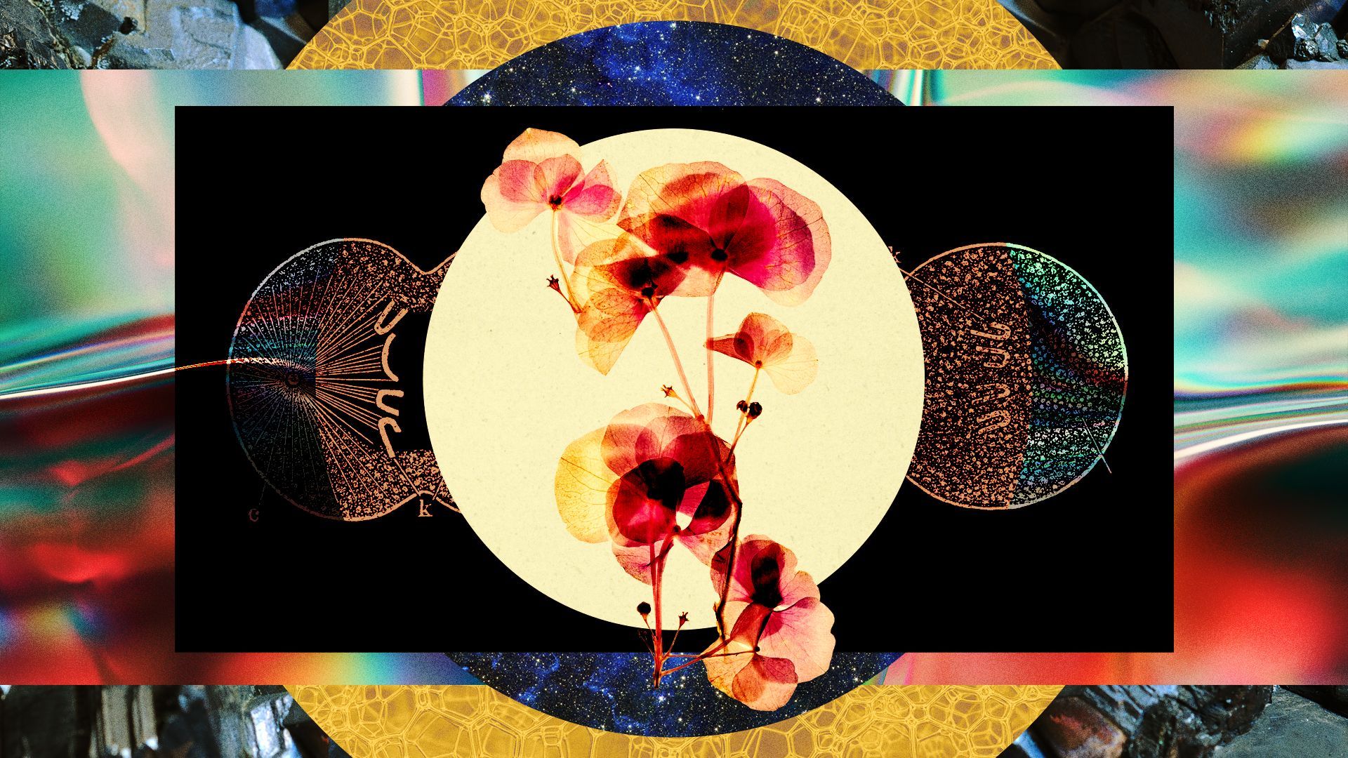 Illustration of a collage of mineral and space textures with dried flowers and cell diagrams.