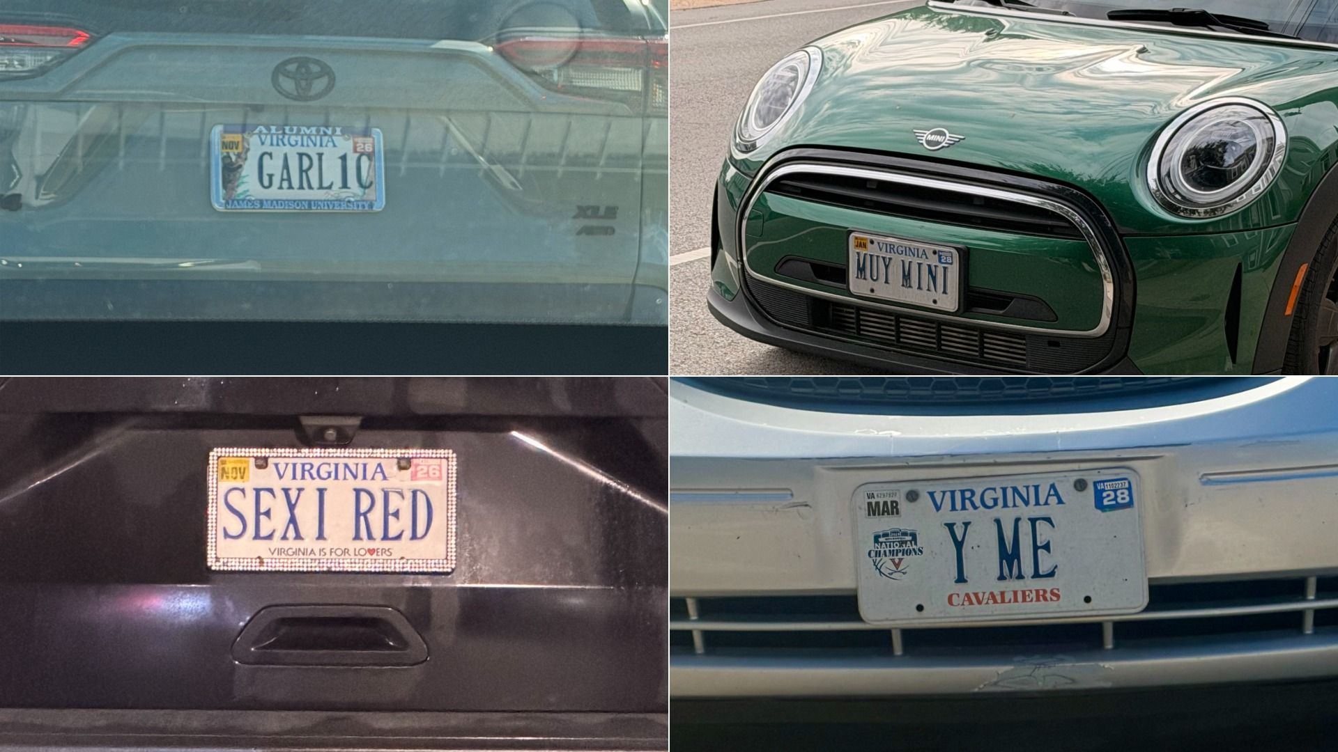 Quad collage of Virginia license plates on cars: top-left reads GARLIC, top-right on a green Mini says MUY MINT, bottom-left glittery frame says SEXI RED, bottom-right says Y ME CAVALIERS.