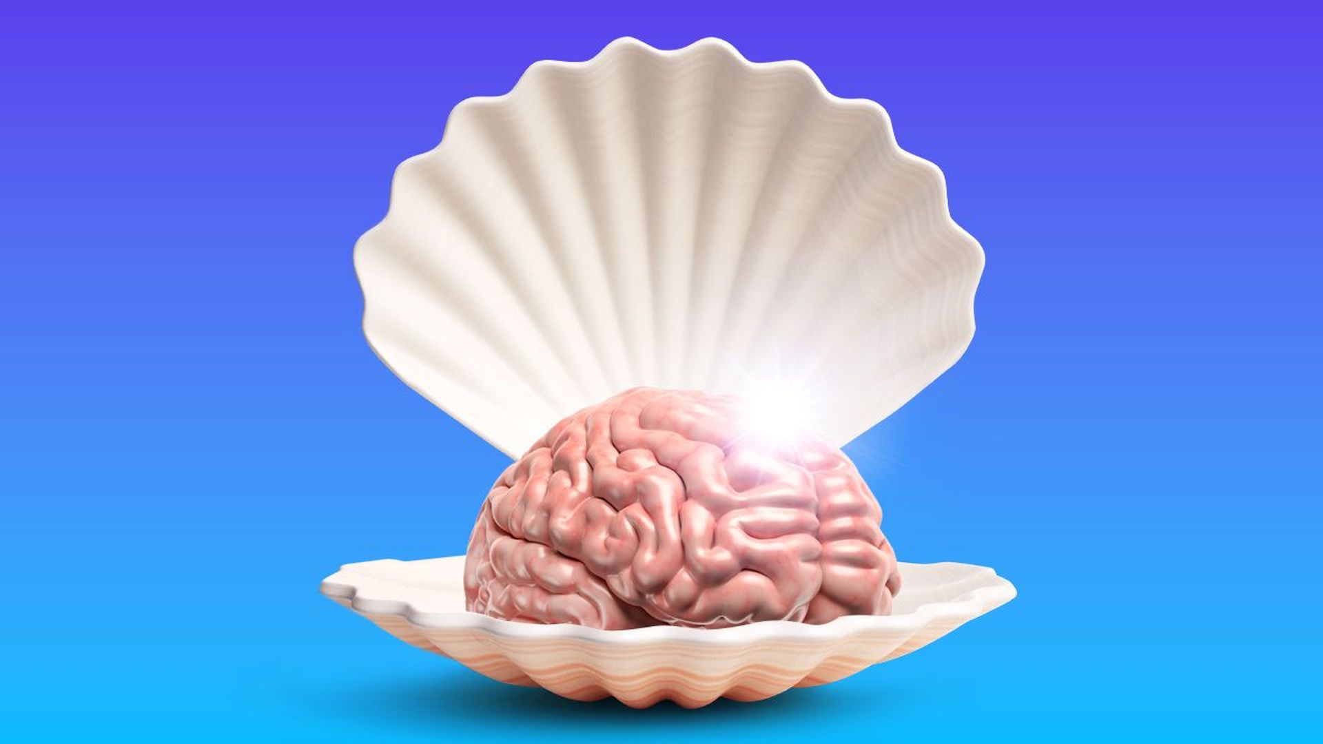 Illustration of a brain sitting inside a clamshell like a pearl