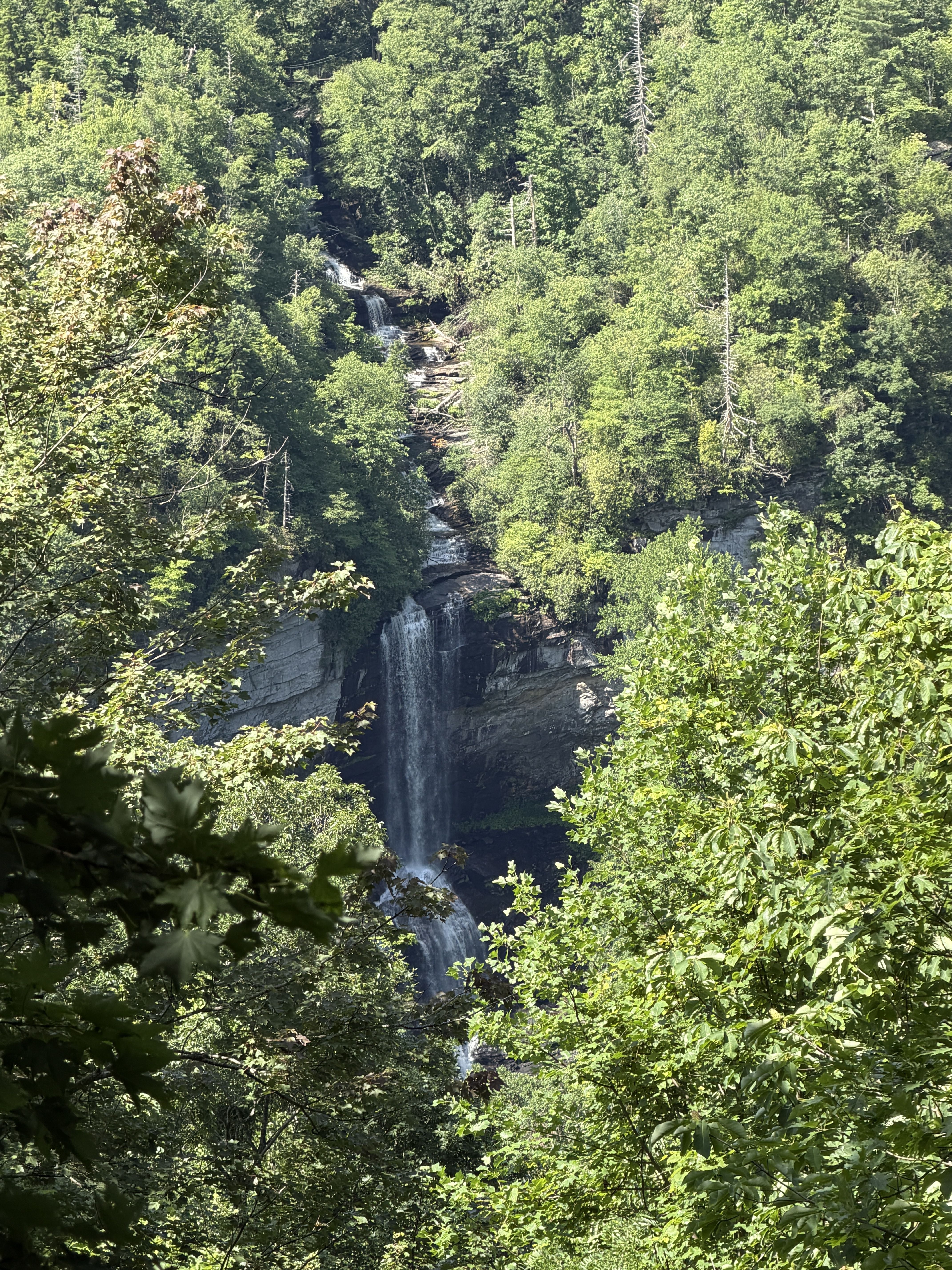 Dense green forest surrounds a rocky ravine where a tall waterfall pours down the cliff, with sunlit leaves framing the scene.