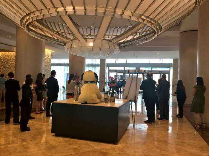 Westin Take Me Home dog adoption