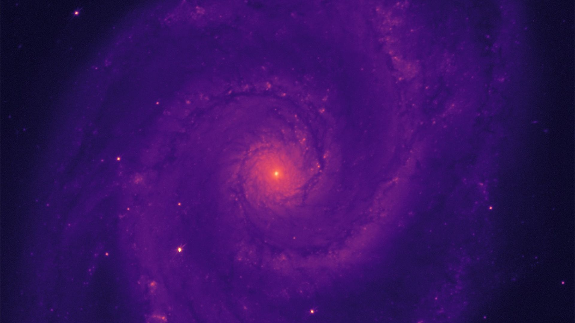 The Whirlpool Galaxy.