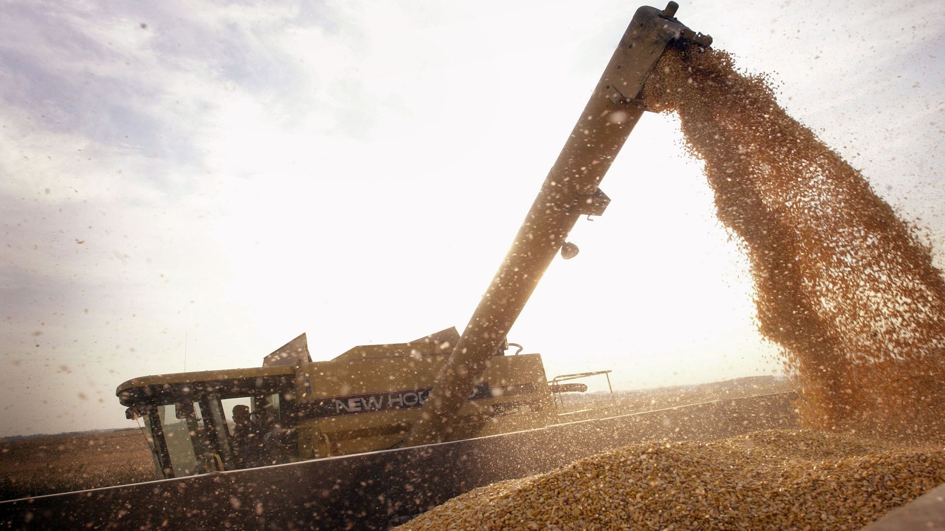 John Shedd, 85, loads a container with Bt-corn harvested from his son's farm October 9, 2003 near Rockton, Illinois.