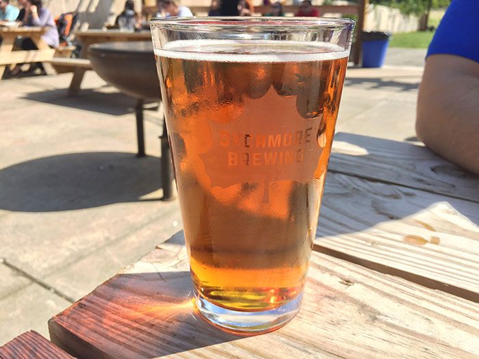 Sycamore Autumn Lager