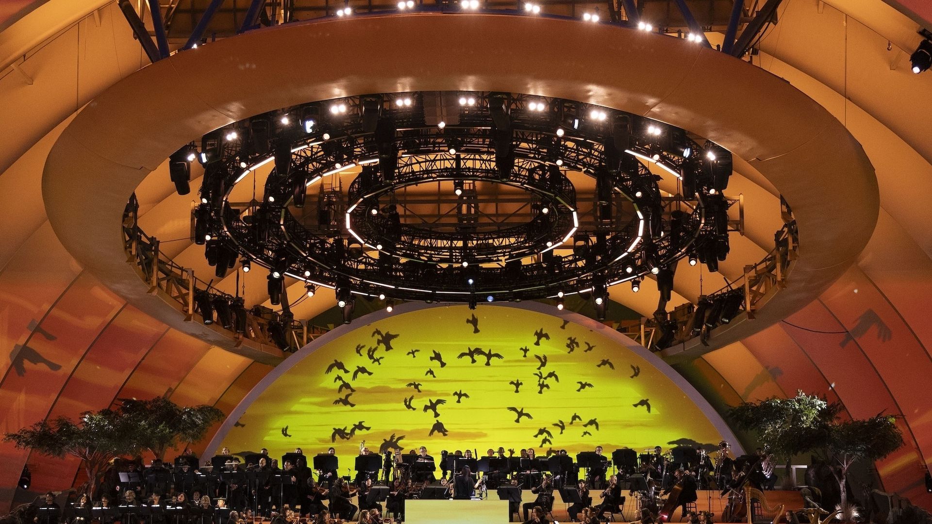 Orchestra performing on stage under large circular light rig, with yellow backdrop showing flying bird silhouettes. Performers in costumes, audience watching in foreground.