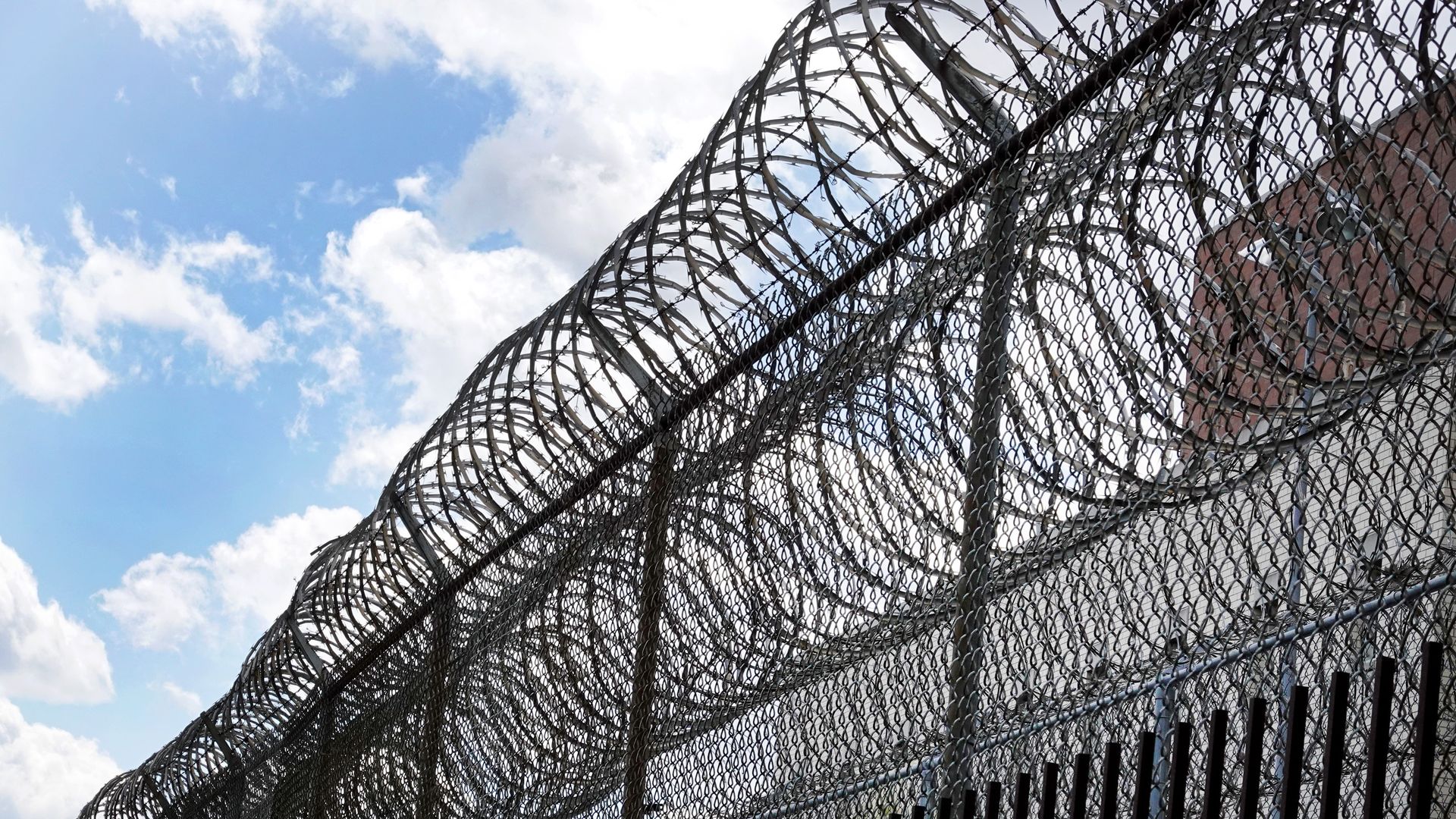 This image shows a large barbed wire fence