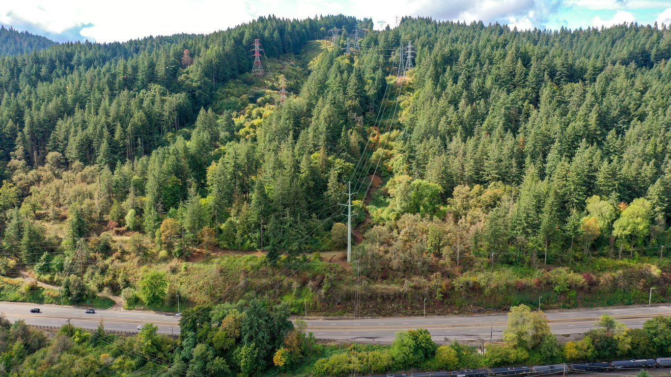 PGE deal revives Forest Park tree removal plan