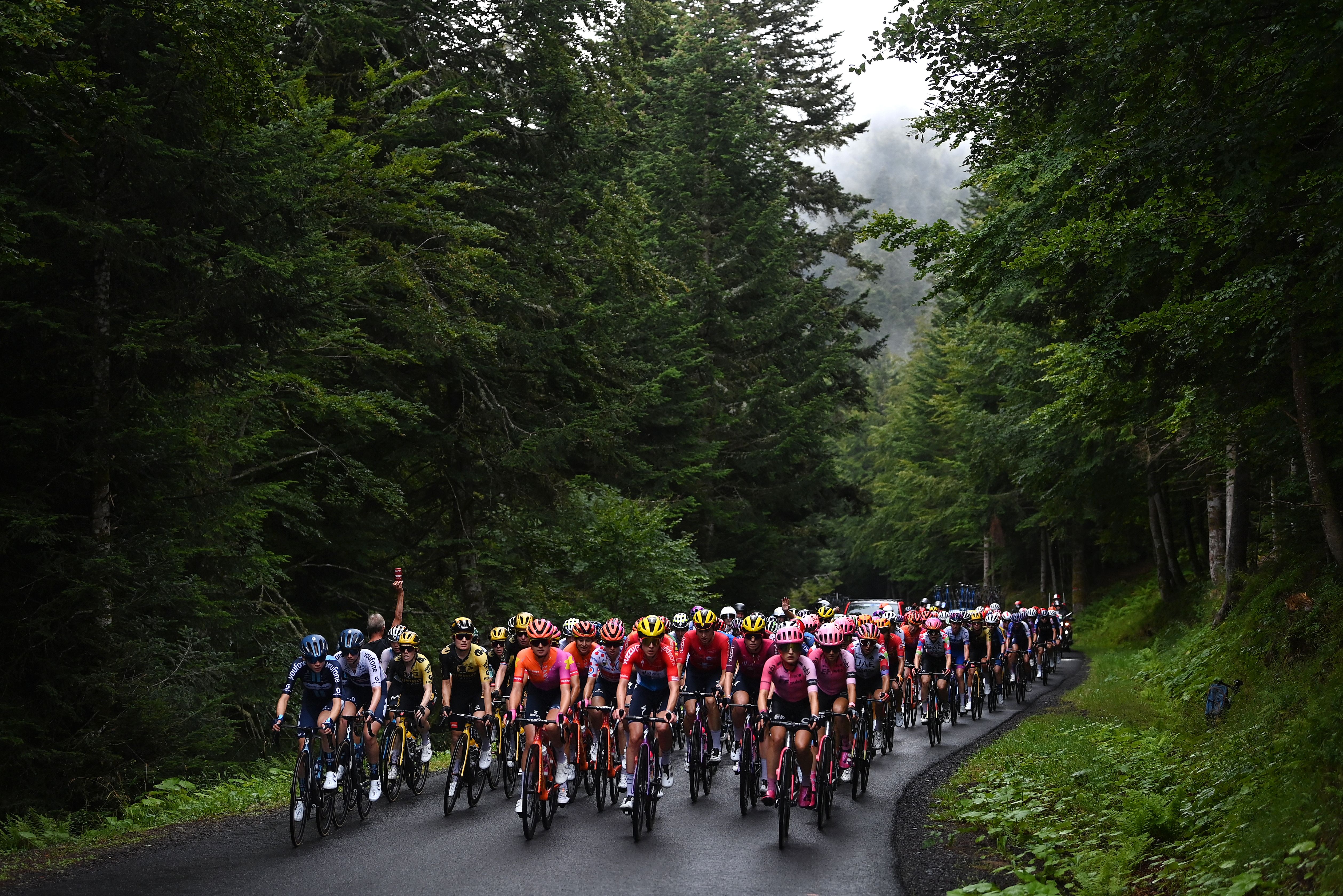 peloton through forest